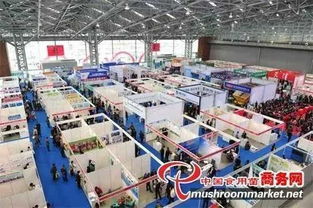 四月合肥國際食用菌大型會展即將啟幕 聚焦高新技術賦能產業升級